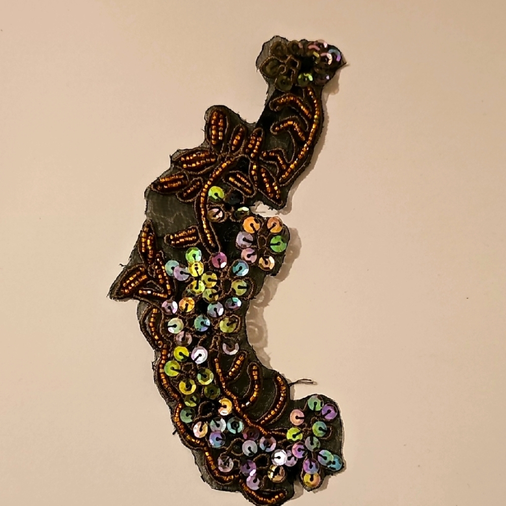 Sequin and Bead Embellished Patch